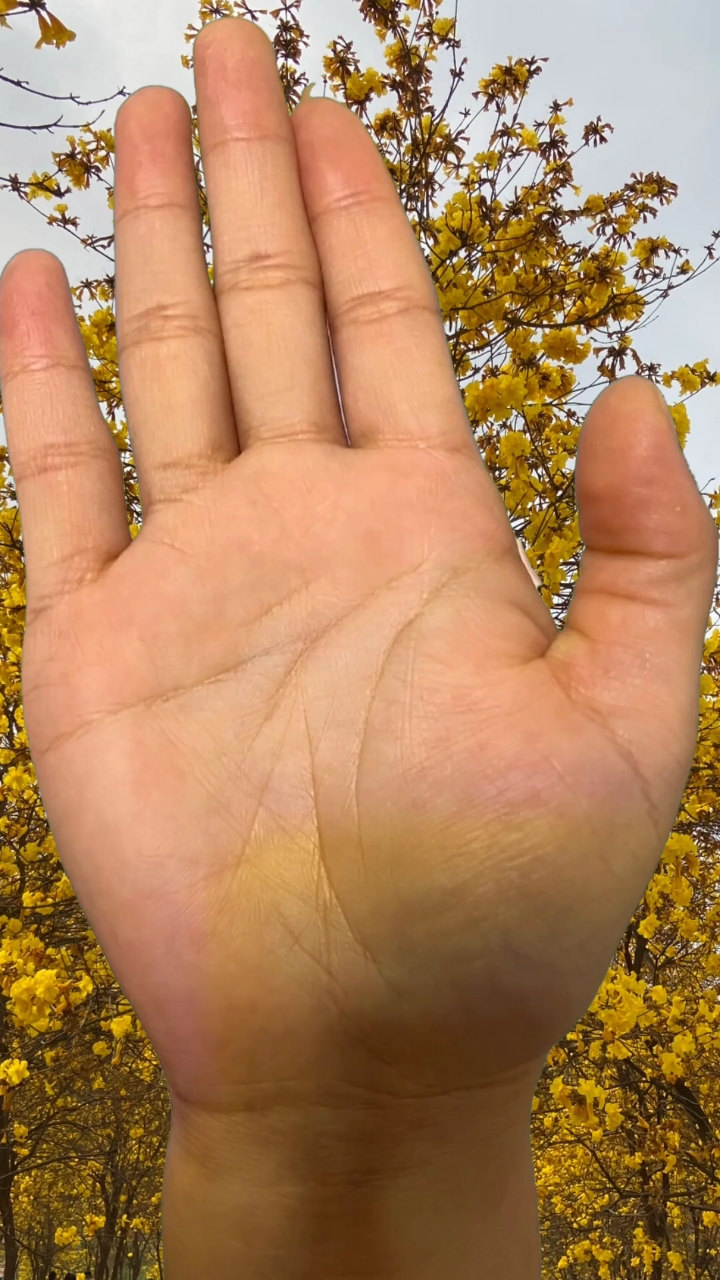 直性子人有什么特点!