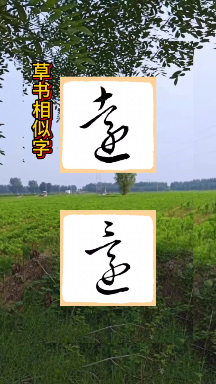 草书相似字,远和还