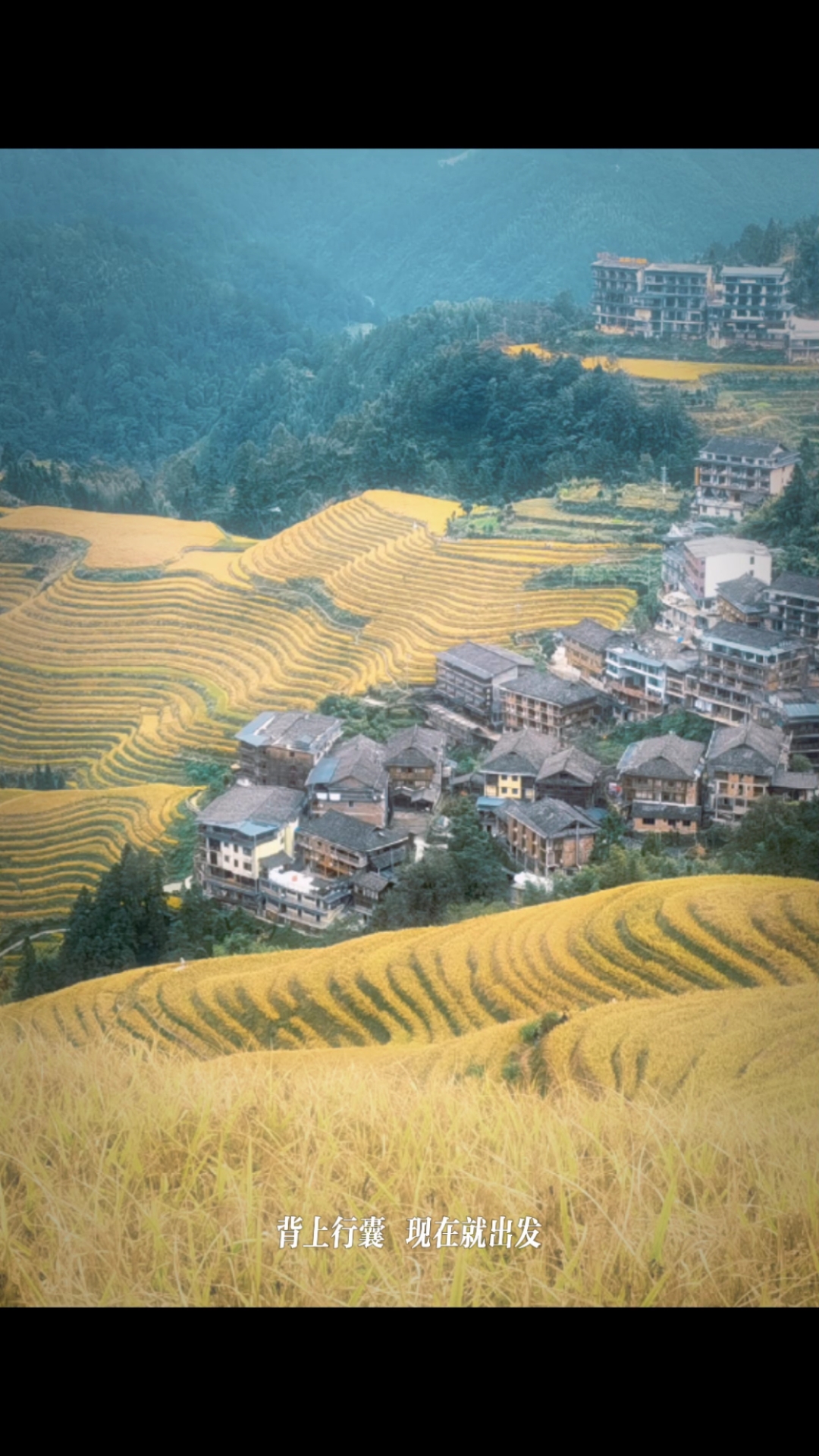 广西龙胜梯田稻花香