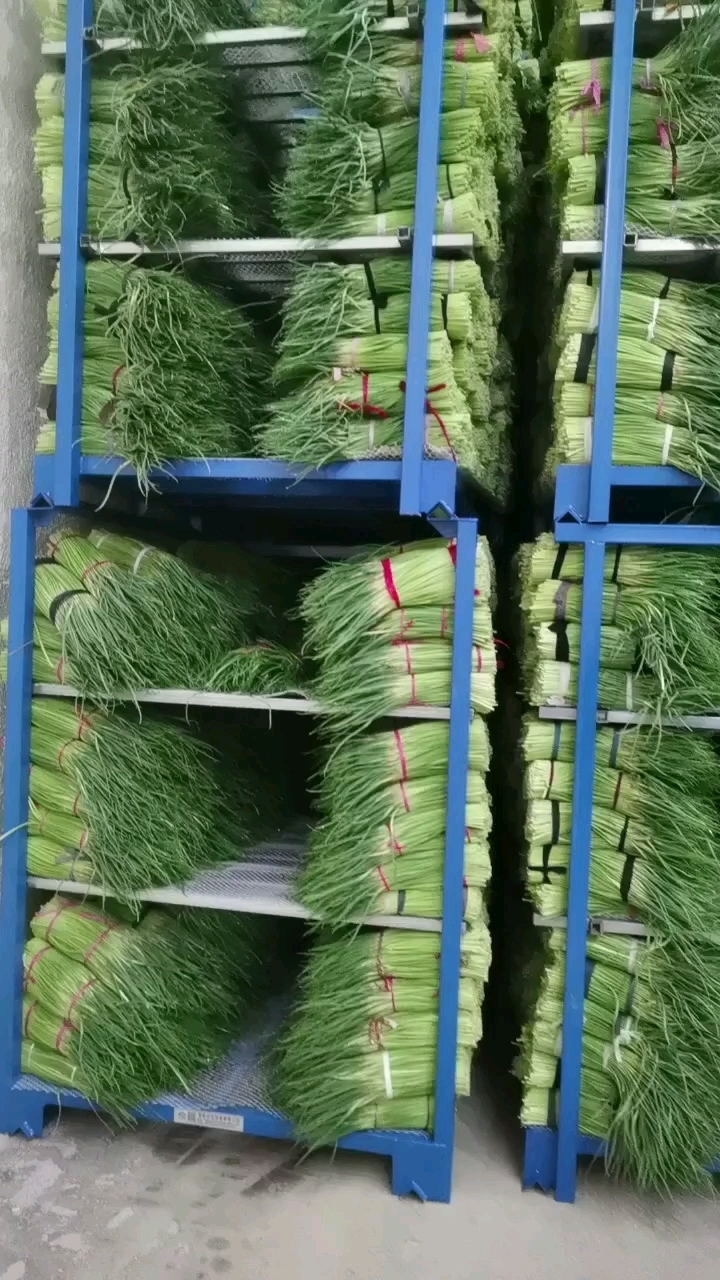 通许县冷库出租可存大蒜蒜苔洋葱土豆菜花