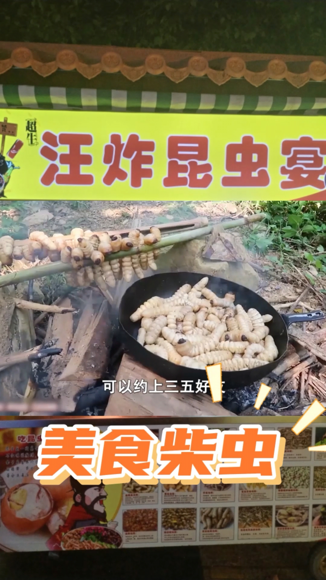 小时候在老家,常能在树里见到一种虫子叫柴虫,好多人把它拿来烤