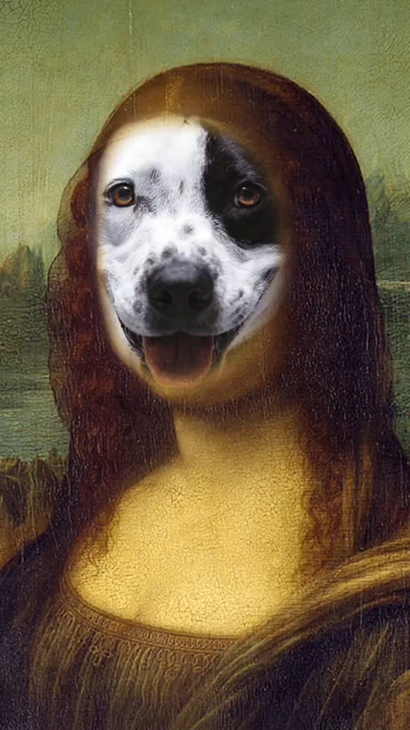 谁能截到蒙娜丽莎