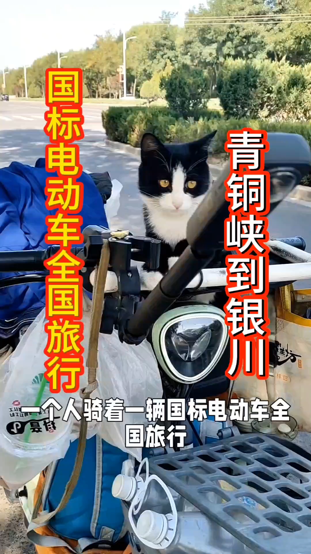 电动车全国旅行!青铜峡市到银川!黑猫警长今天吐了两次,病了吗