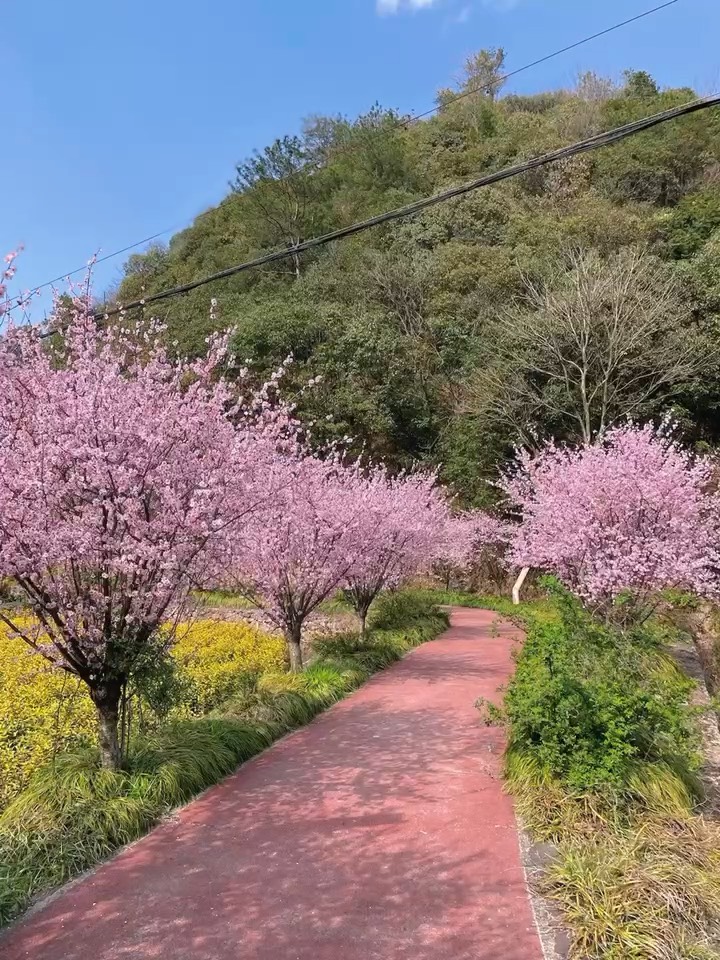 春天踏青莫干山 想吃点不一样的