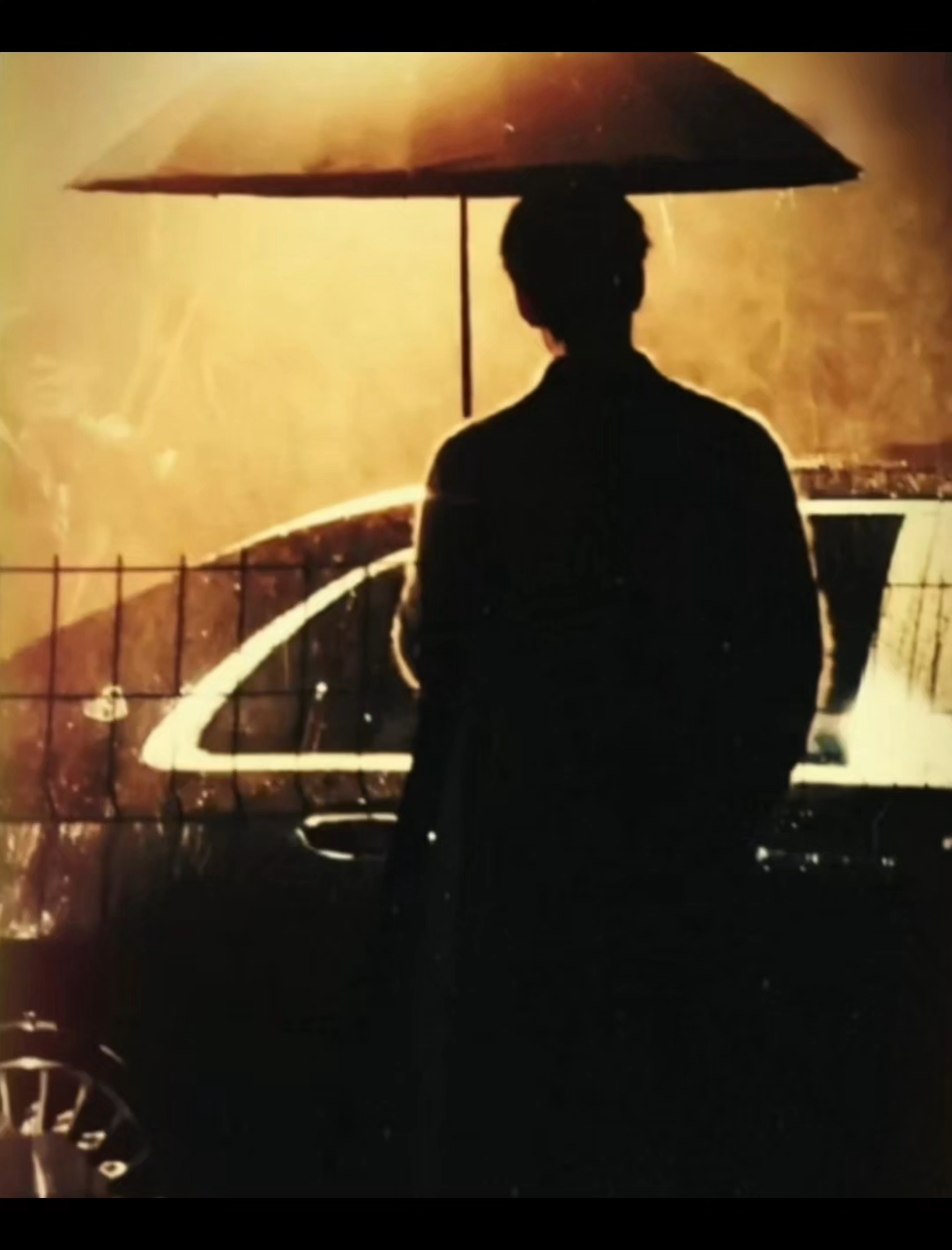 陈星旭雨中撑伞,氛围感拉满!全网心动