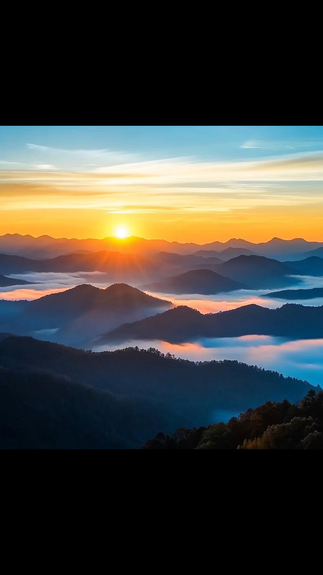 能量头像,旭日东升,霞光普照,前程似锦