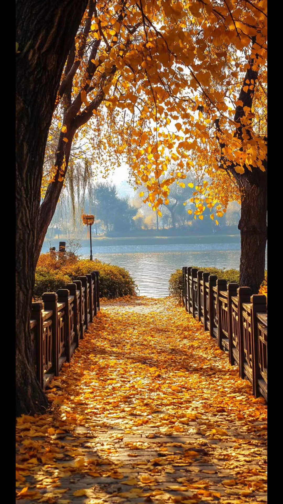 梅麻吕12弹是什么，梅麻吕一二弹是什么深度解析最新曝光揭开神秘面纱引发全网热议