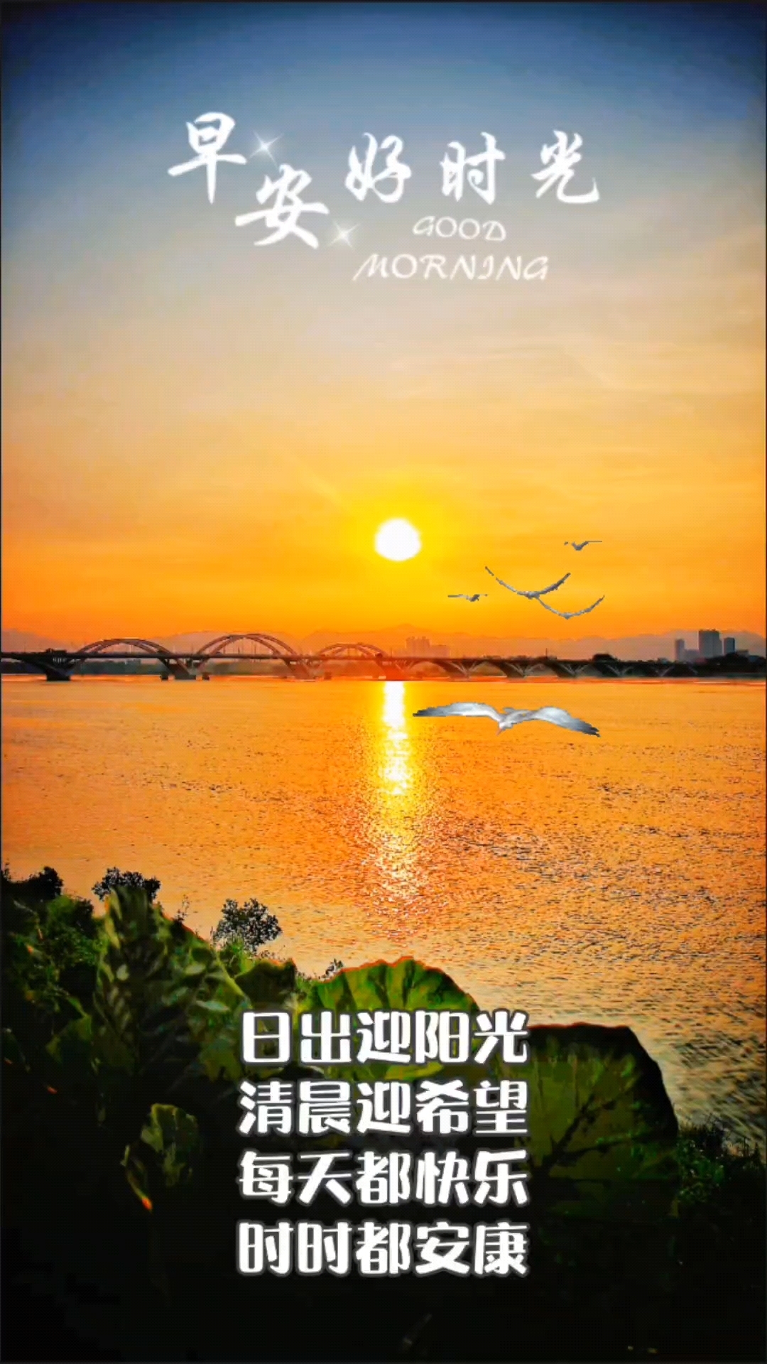 早安!日出迎阳光,清晨迎希望,每天都快乐,时时都安康
