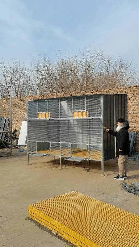 家用拼装小鸽舍3米长1.8米宽-度小视