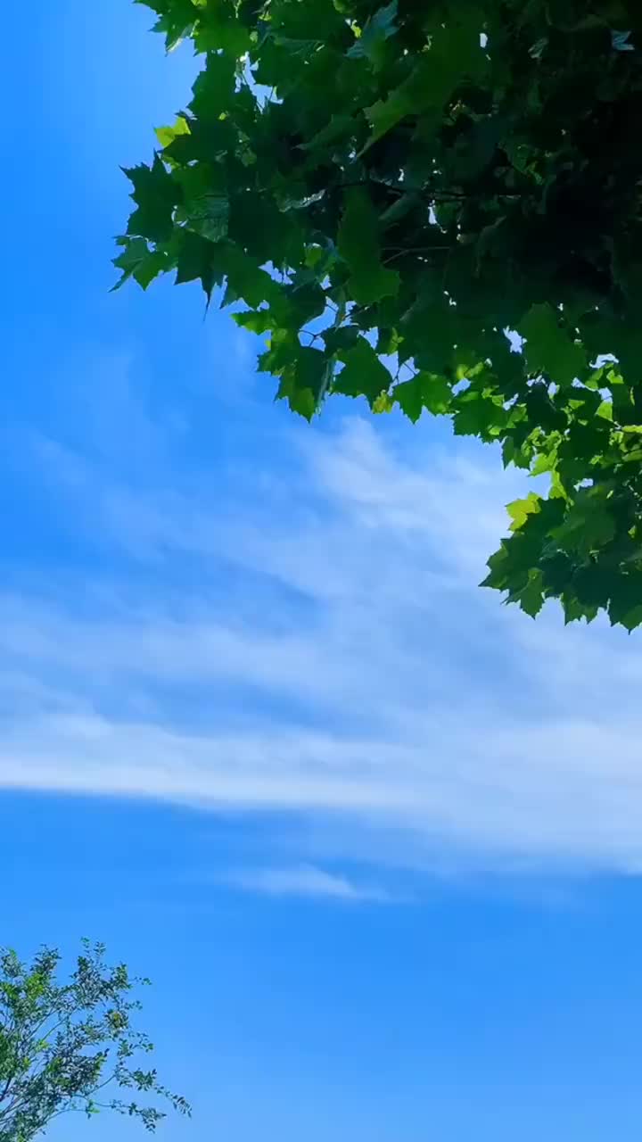 15日淄博天气