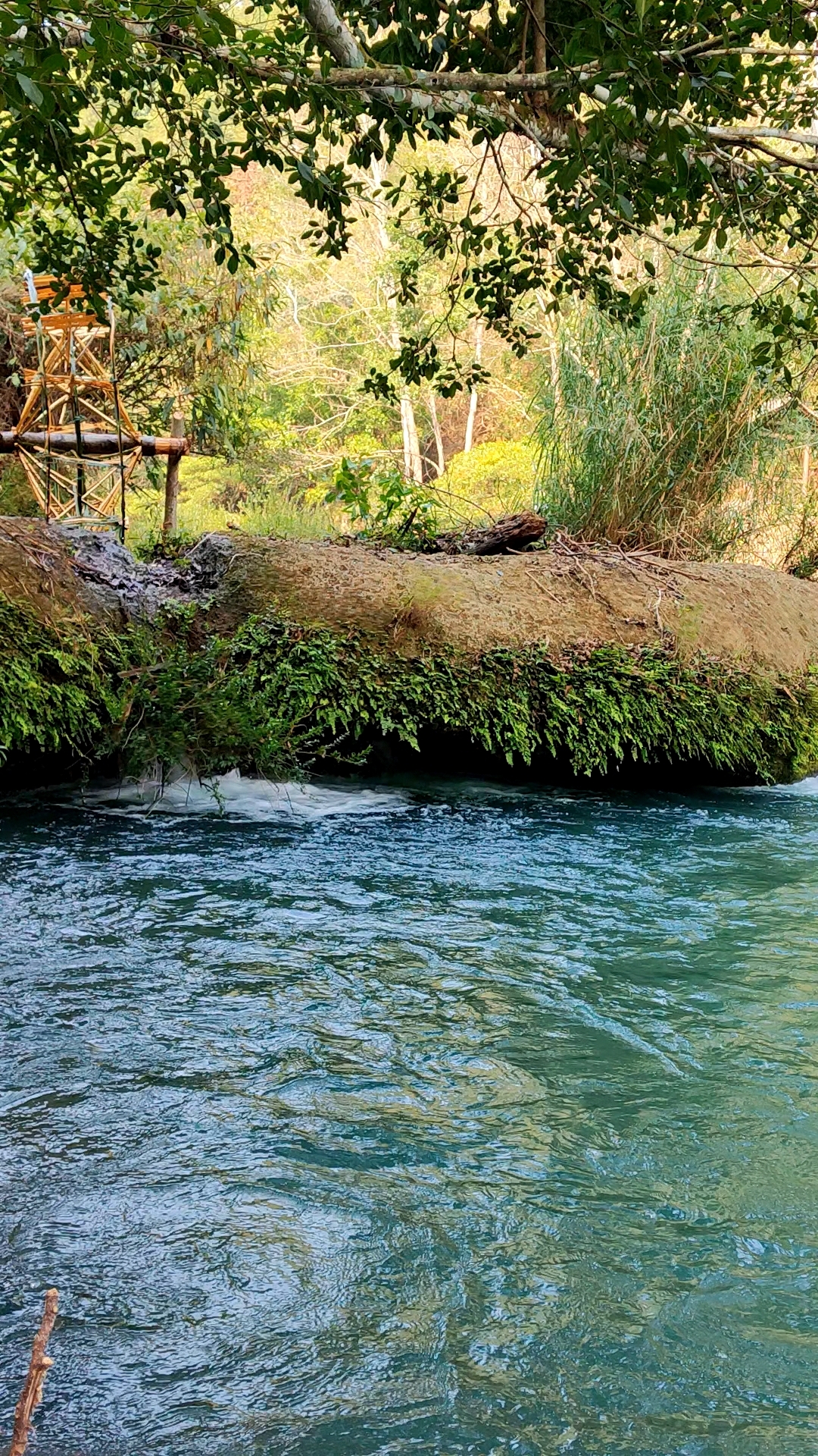 农村过年来河边钓鱼就是清静