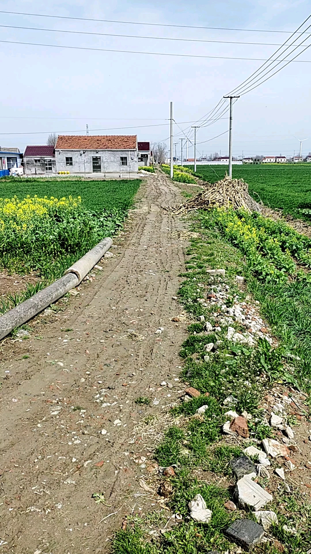 射阳县兴桥镇东风村9组,欢迎各级党组前来"参观".