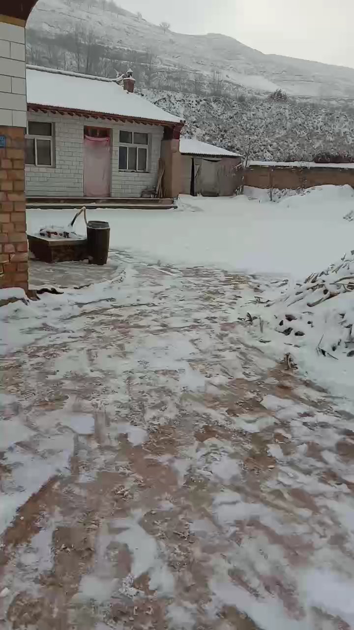 池店镇下雪图片