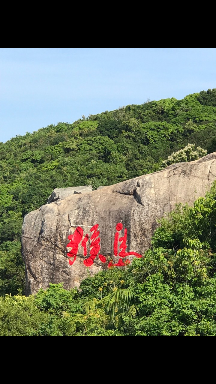 海南猴岛现场书法图片