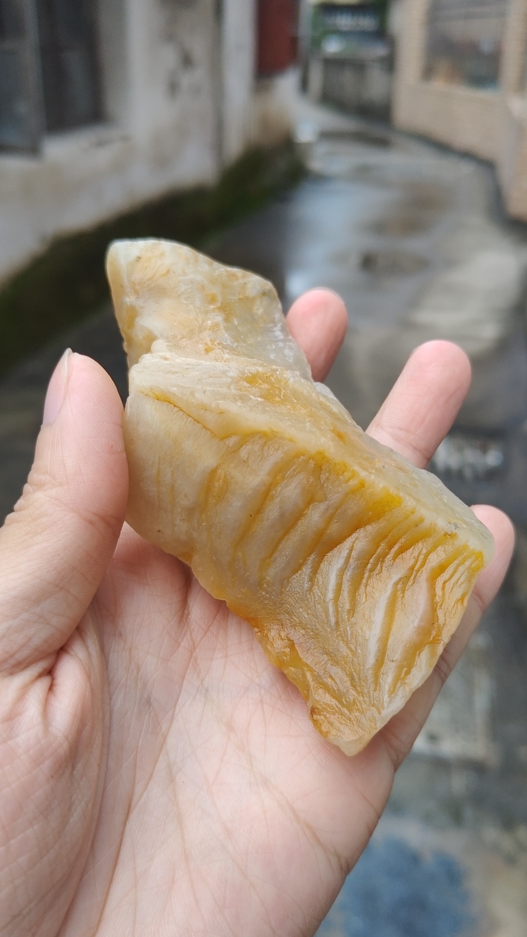 寿山结晶田黄原石皮,黄皮白肉,109克