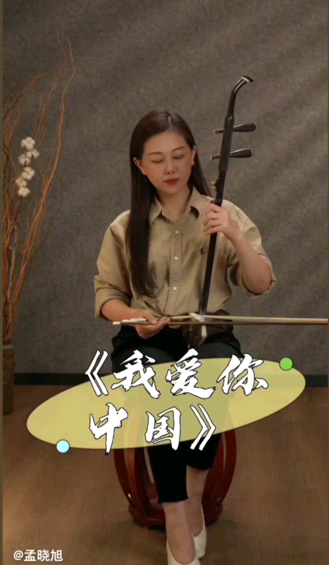 二胡演奏家孟晓旭老师演奏#我爱你中国