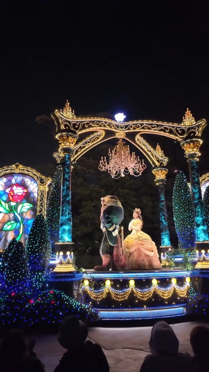 迪士尼乐园夜晚花车大游行,好好看耶