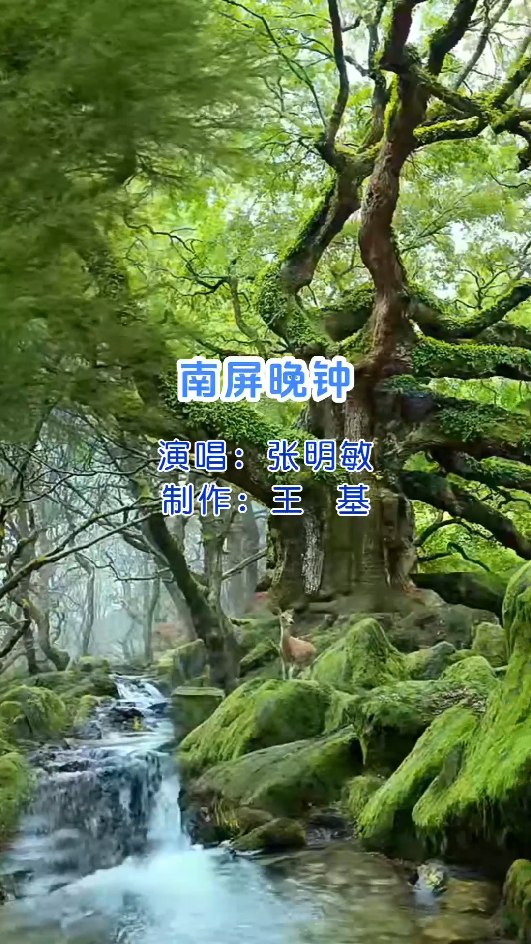 张明敏演唱《南屏晚钟》完整版,很好听
