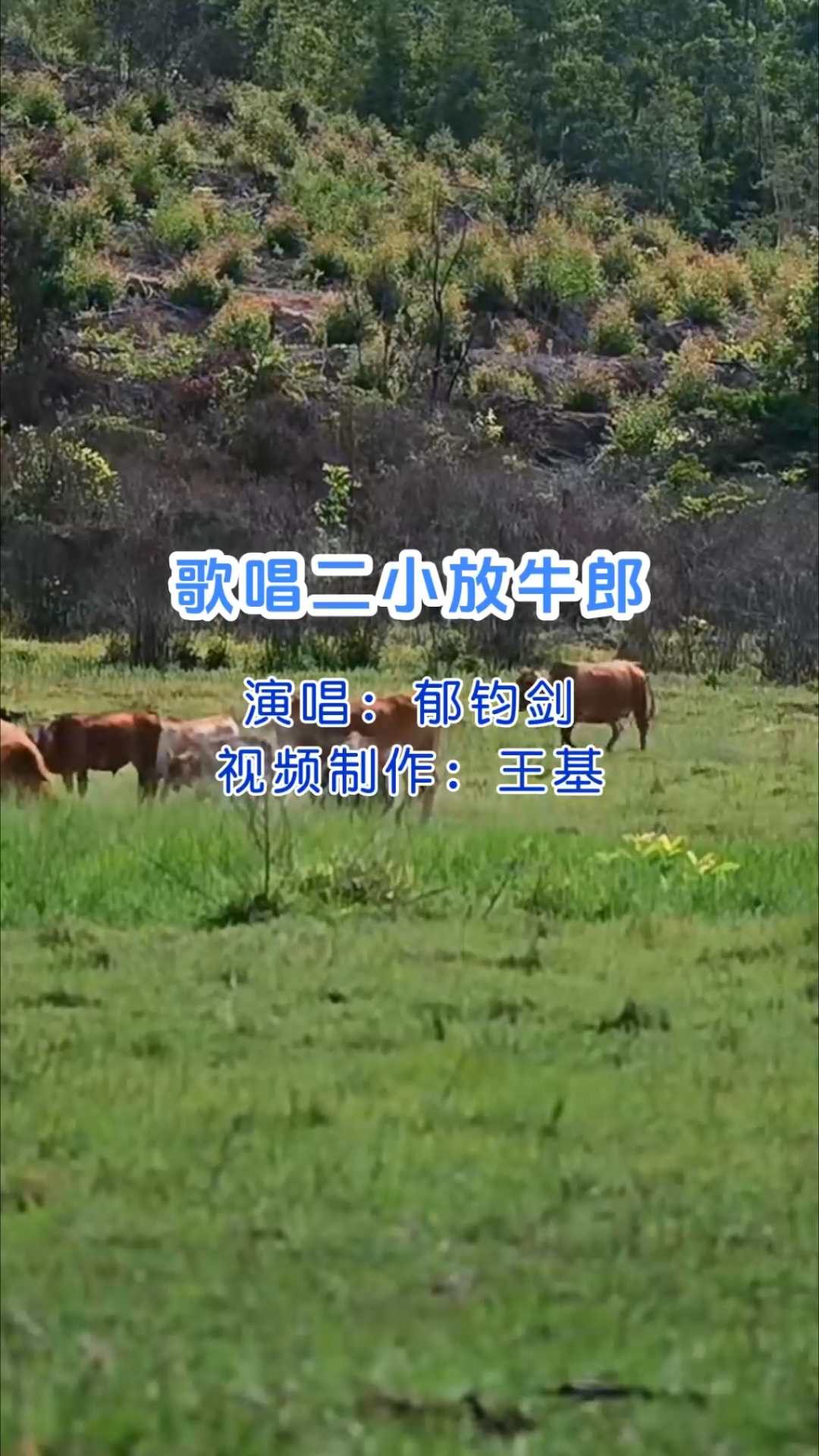 《歌唱二小放牛郎》郁钧剑演唱,完整版,很好听