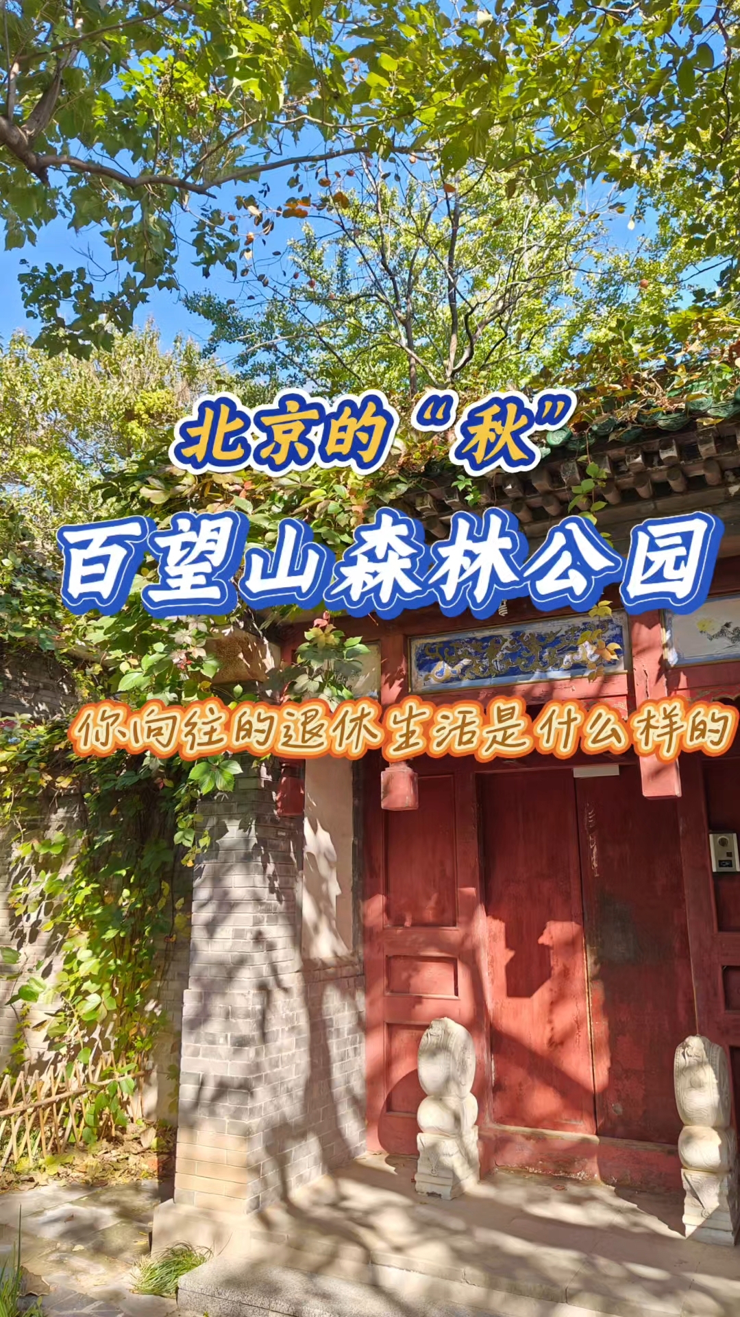 百望山森林公园 门票图片