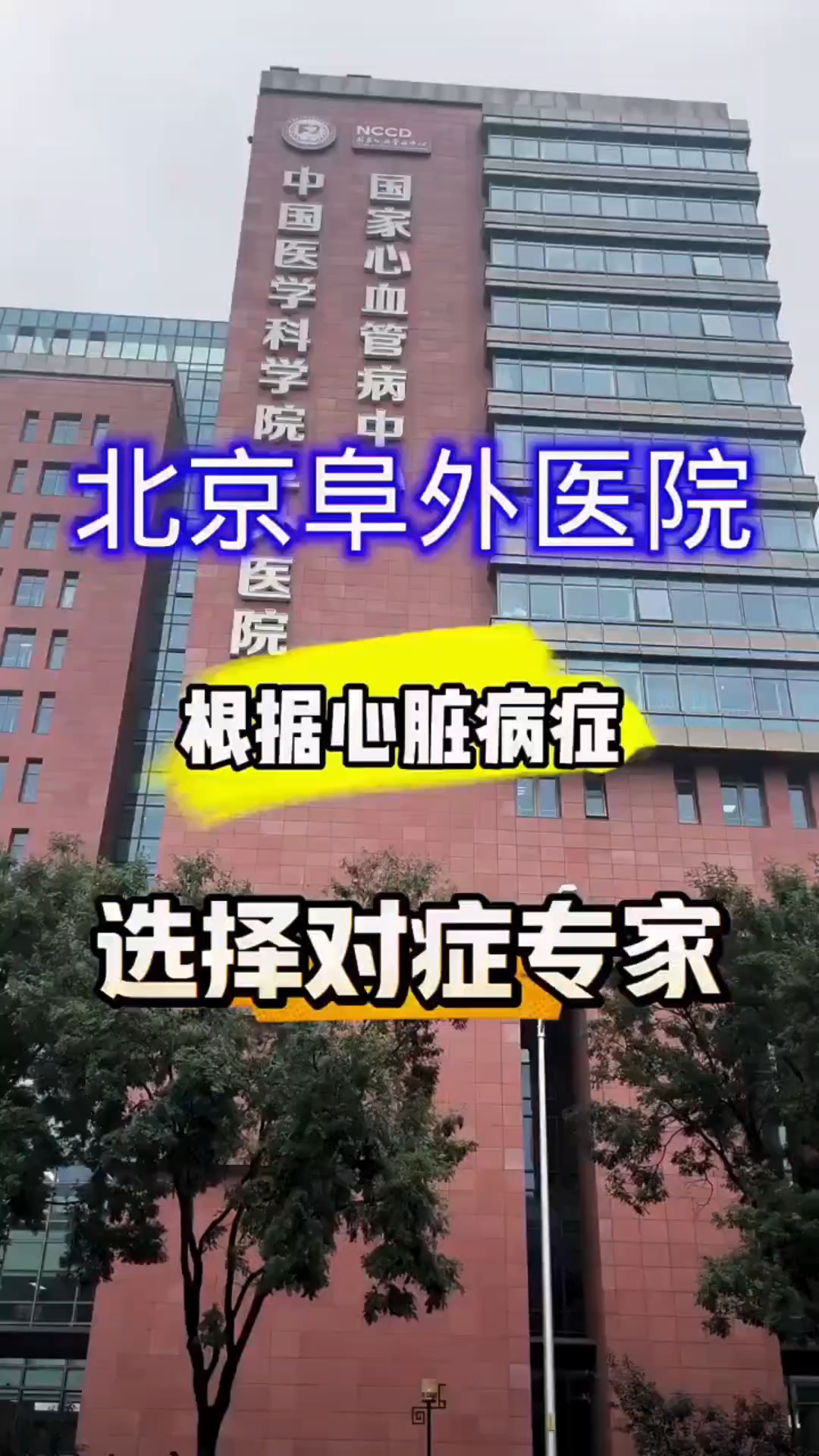 阜外医院全天陪诊含挂号各项检查有序安排，不慌不乱的简单介绍