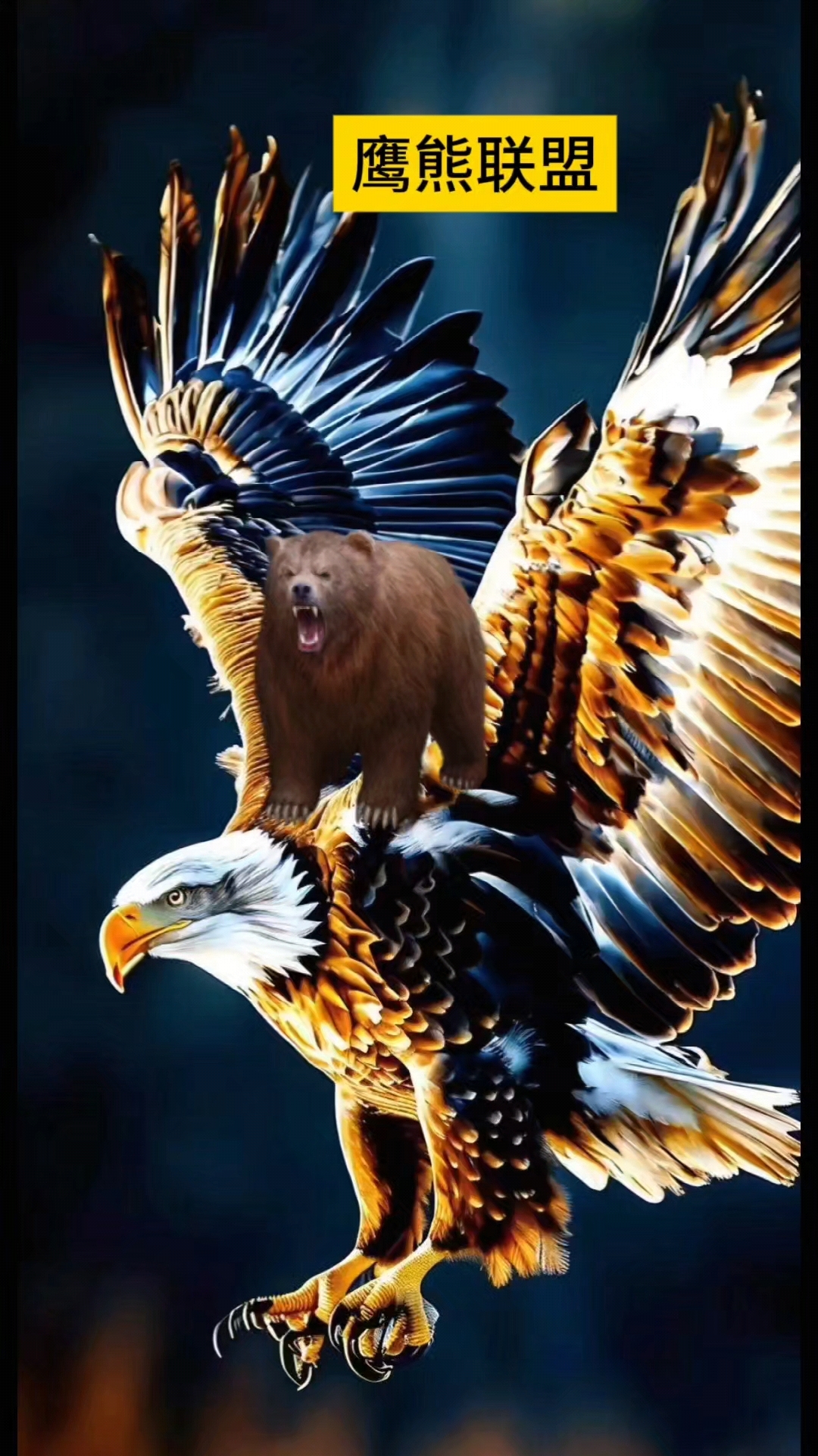 鹰熊联盟  雄姿英发