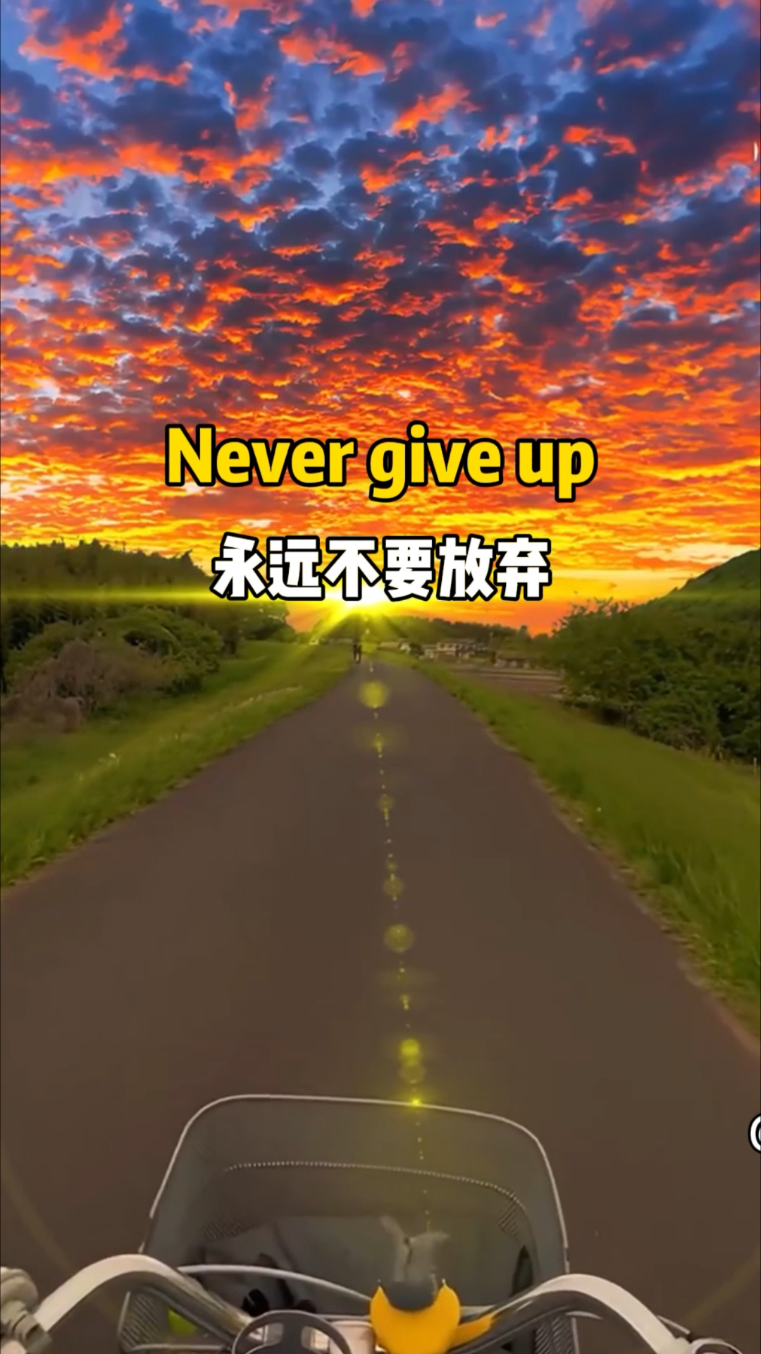 永远不要轻易放弃