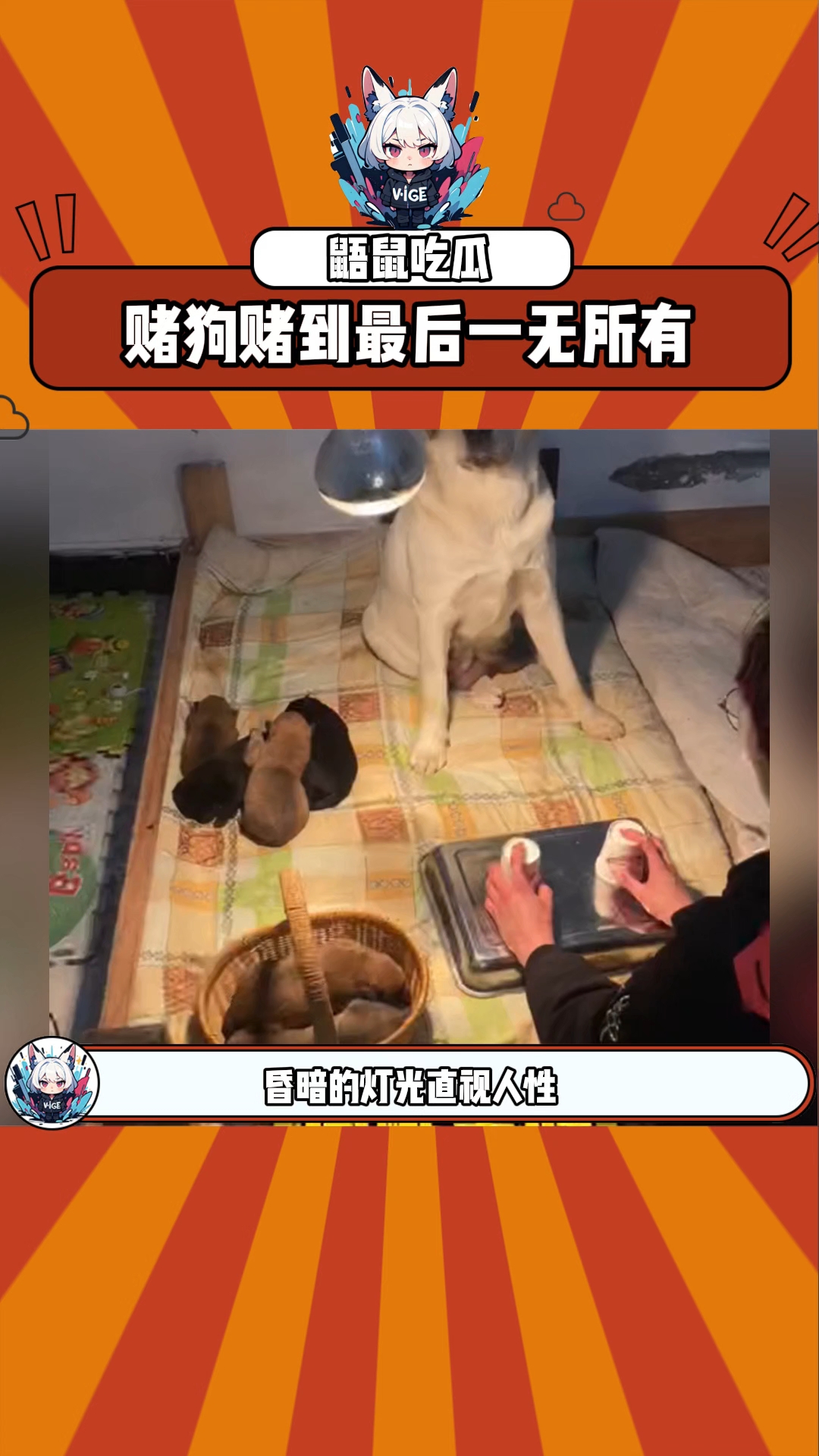 赌狗赌到最后一无所有 #赌狗