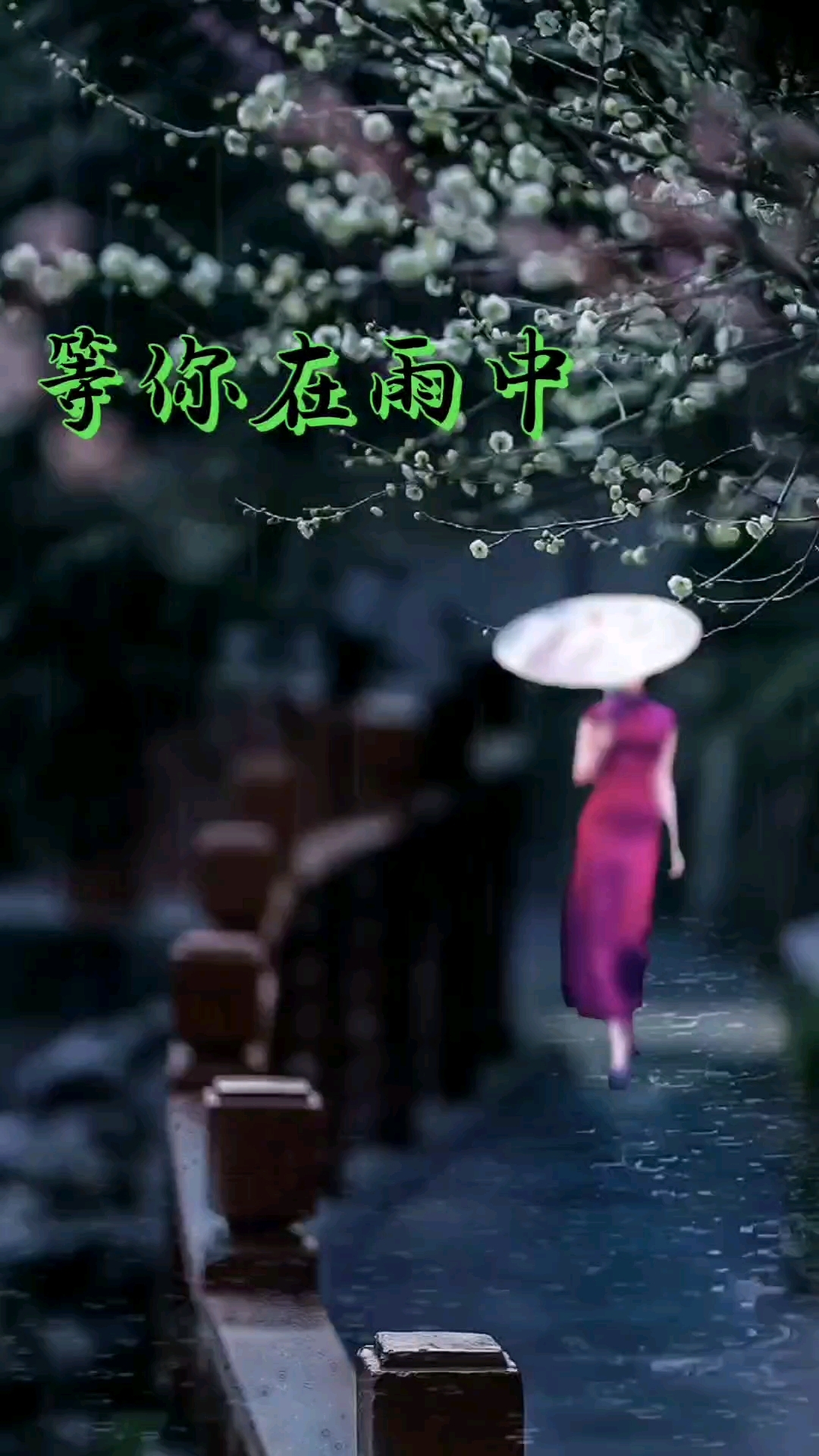 等你在雨中/余光中