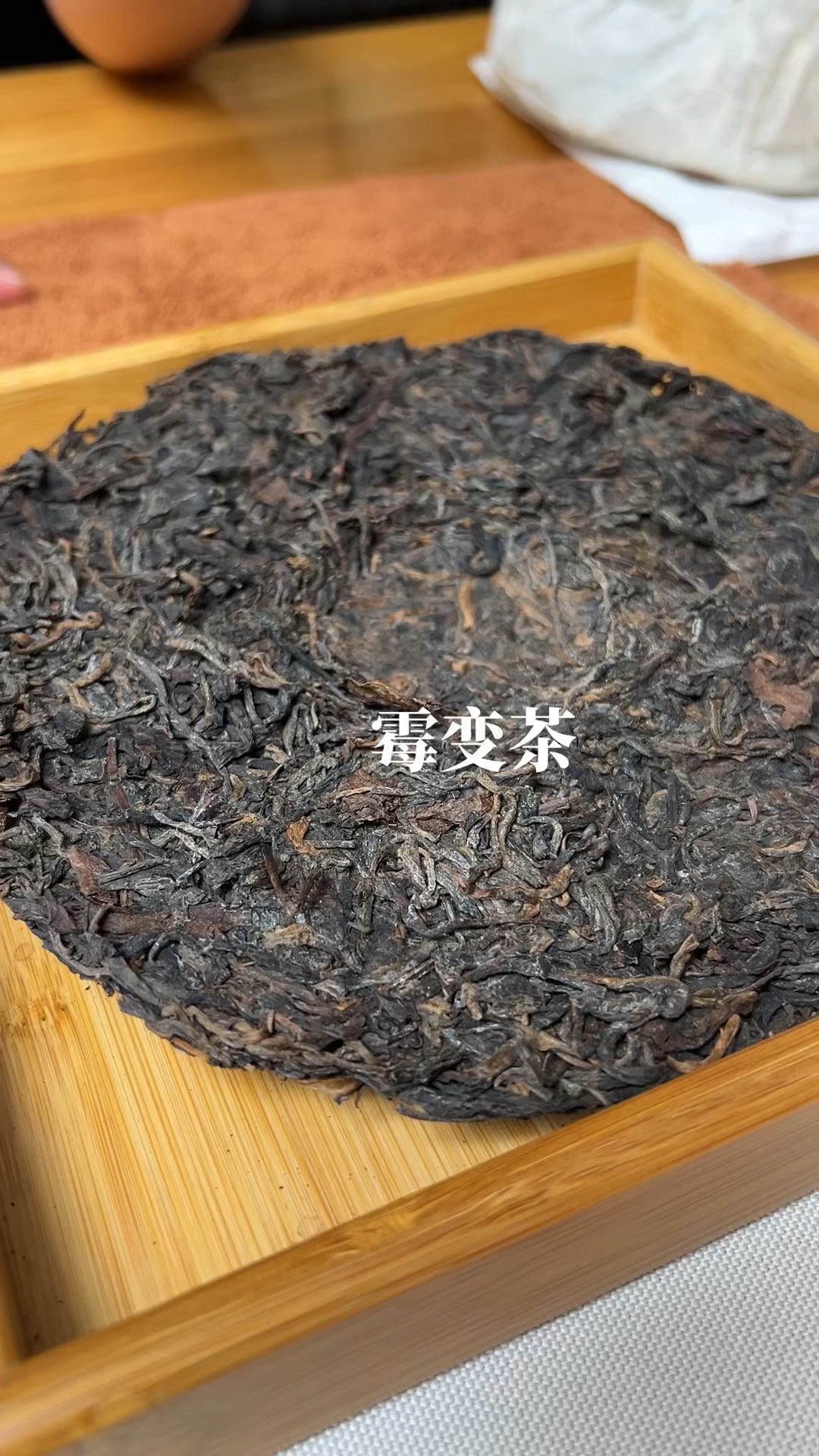 普洱熟茶发霉图片