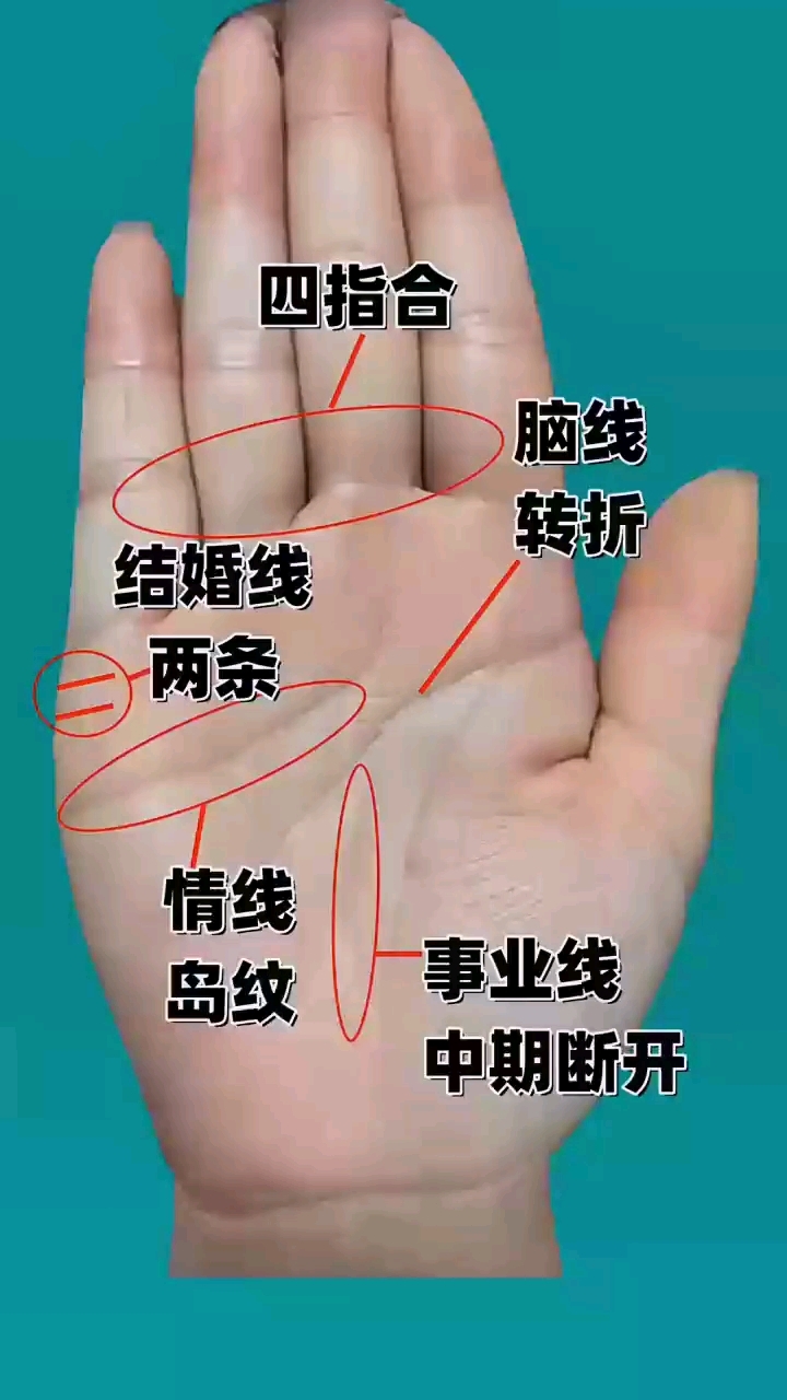 感情岛纹比较多的手相,特征是什么呢