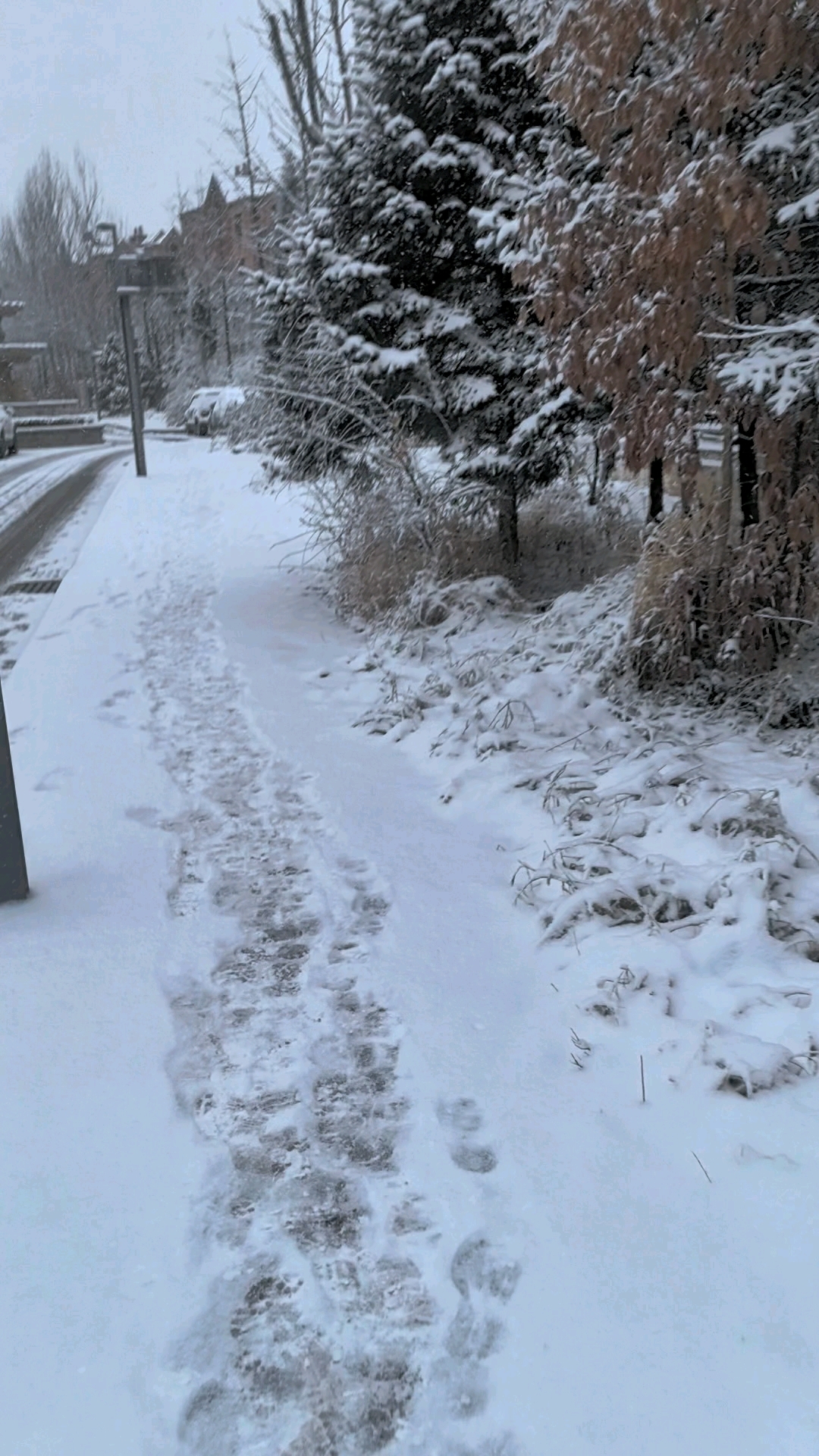 东北下雪了