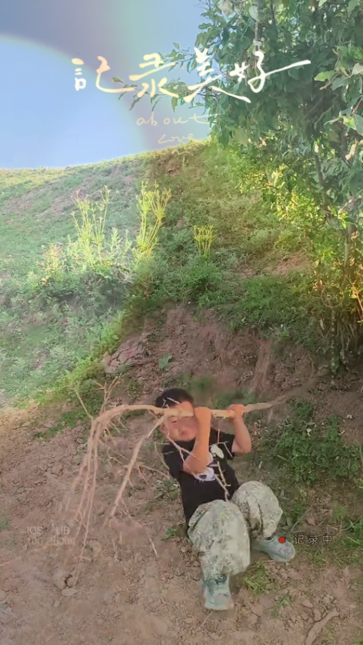 五岁男孩折断荆棘干树枝的可爱瞬间