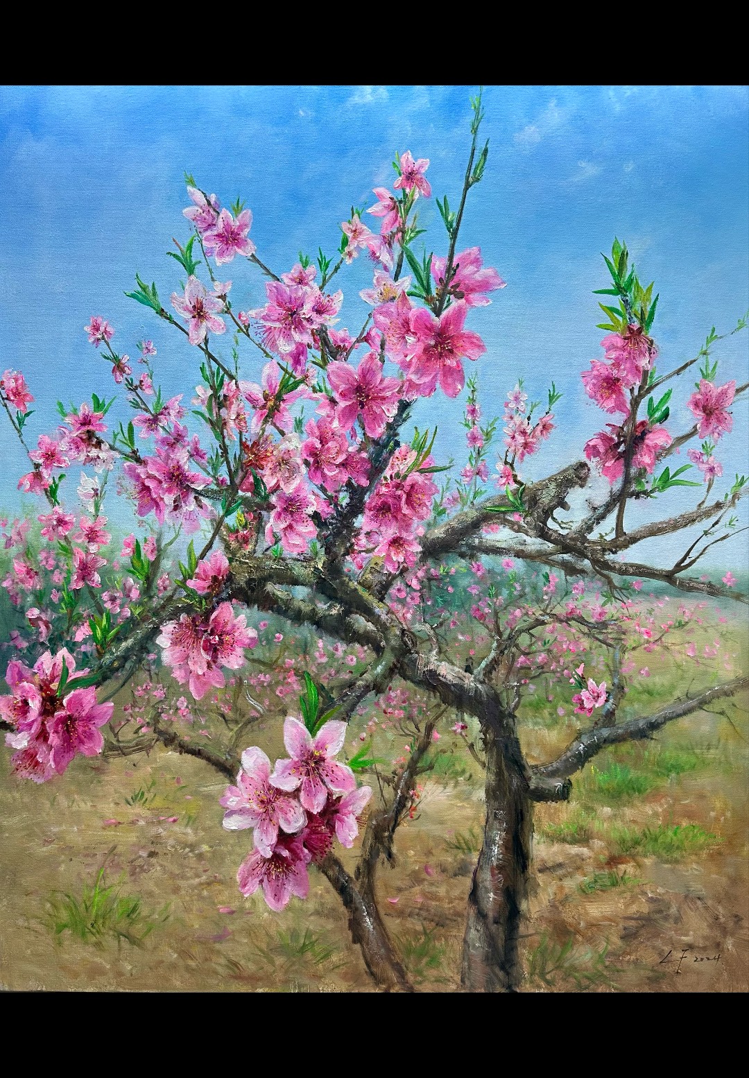 极品桃花 布面油画100*120cm 2024风歌新作