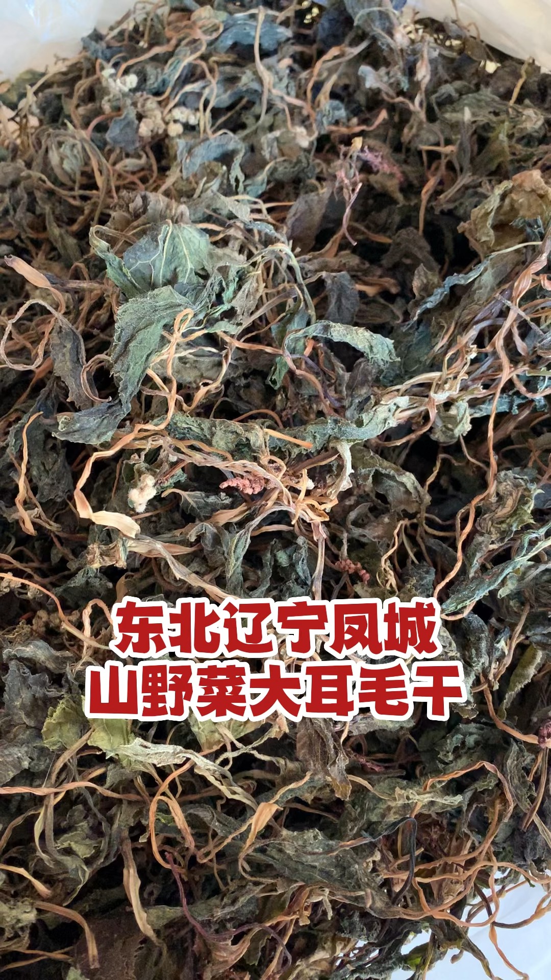 东北辽宁凤城山野菜大耳毛菜干!