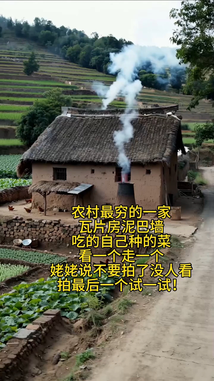 农村最穷的一家就是这片砖瓦泥土房,吃的自己种的菜#荧光计