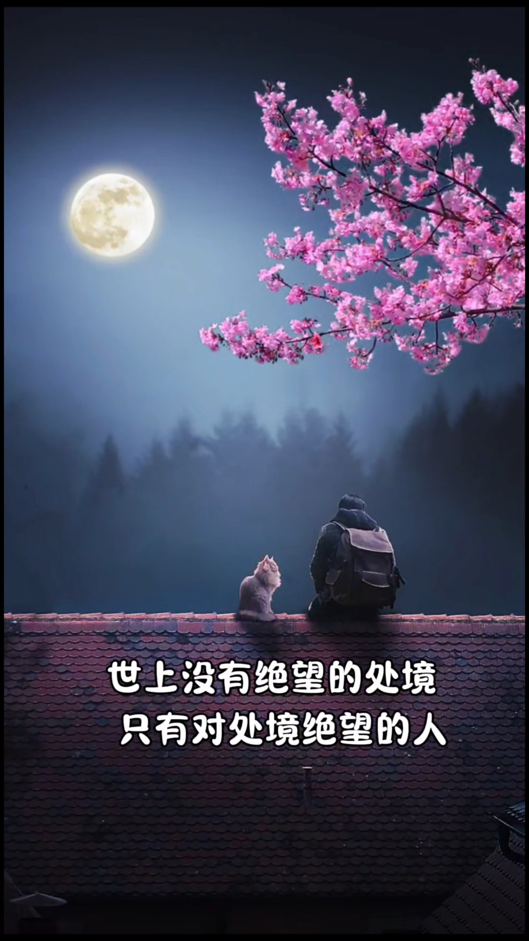 世上没有绝望的处境,只有对处境绝望的人.