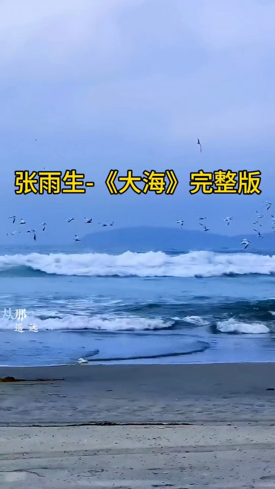张雨生《大海》完整版