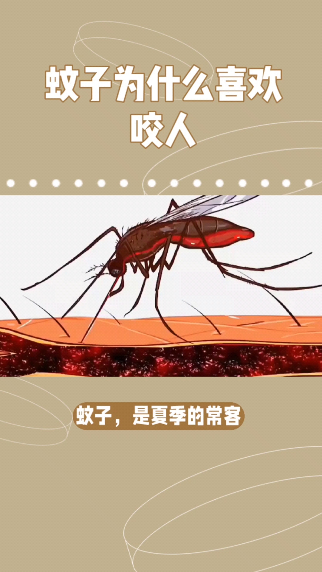 你是不是被蚊子喜欢叮咬的人