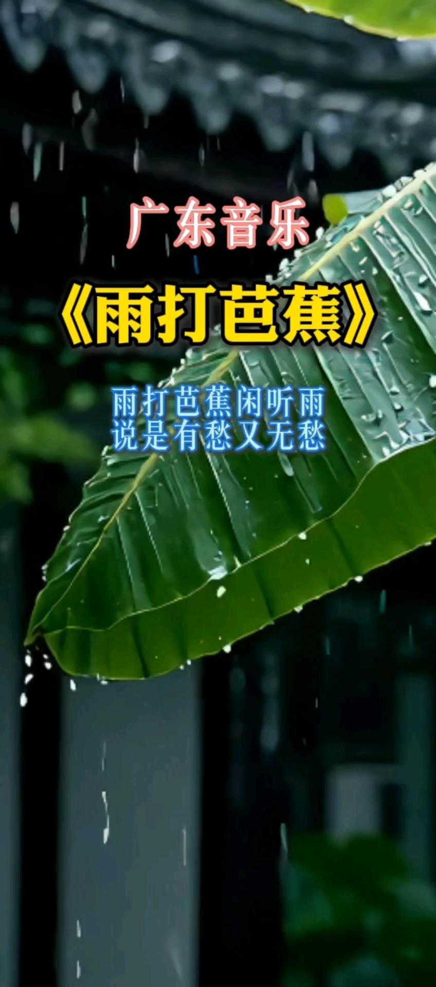 广东音乐《雨打芭蕉》静心聆听,愉悦心情#感受广东音乐之美