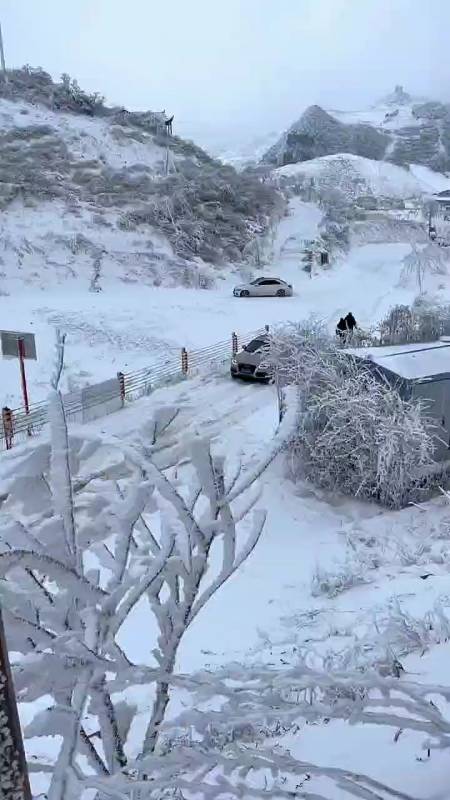 5026次播放.2024-02-1013大陈转弯2.