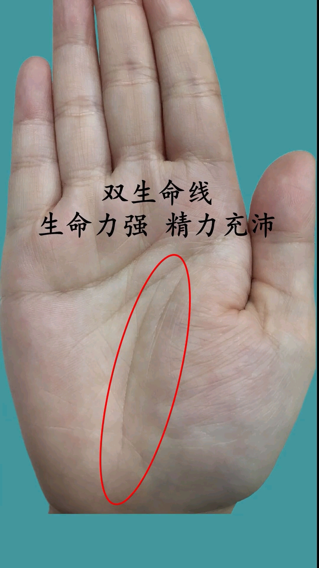 有双生命线的手掌有什么说法?