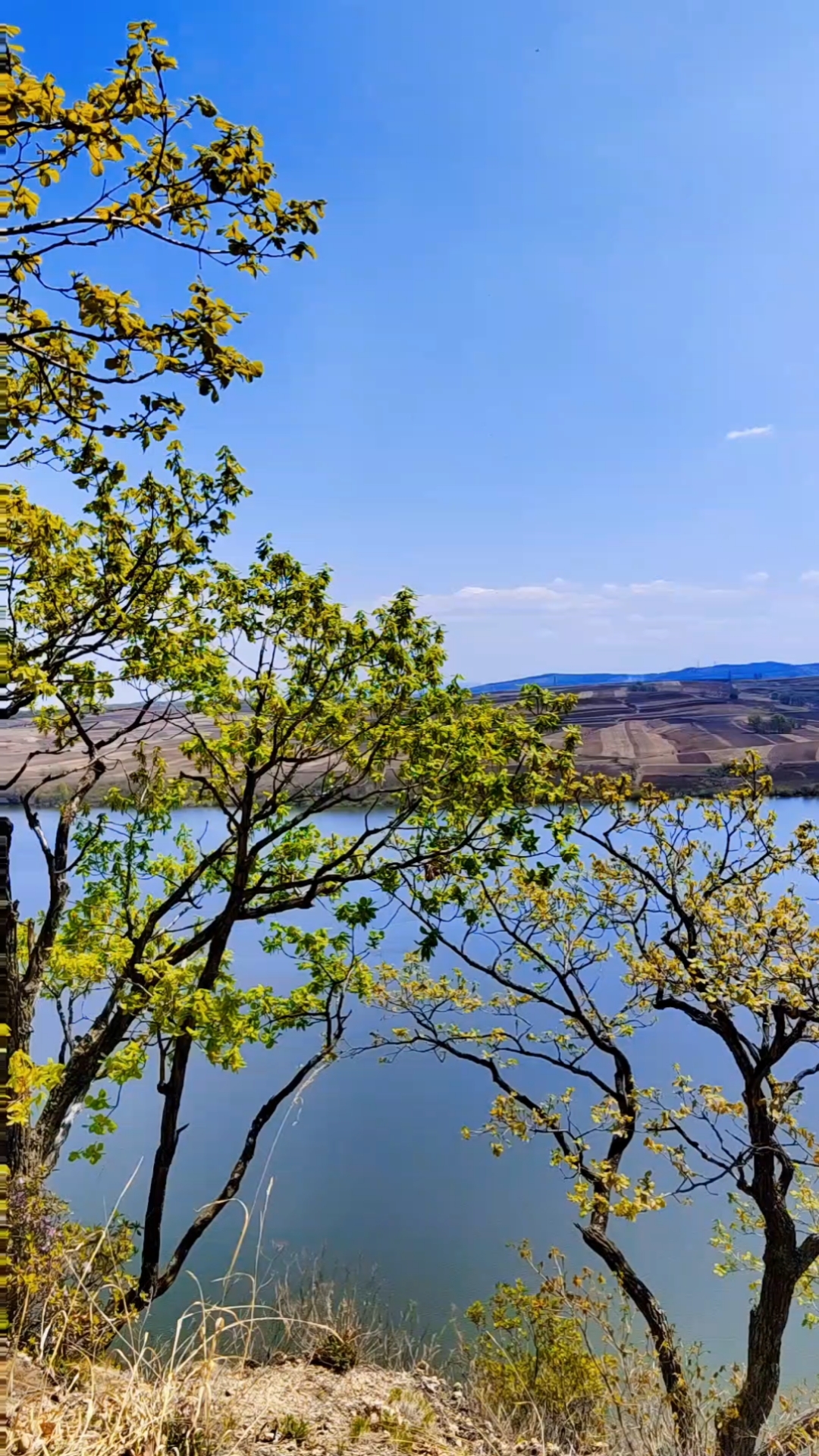 最美的不是风景