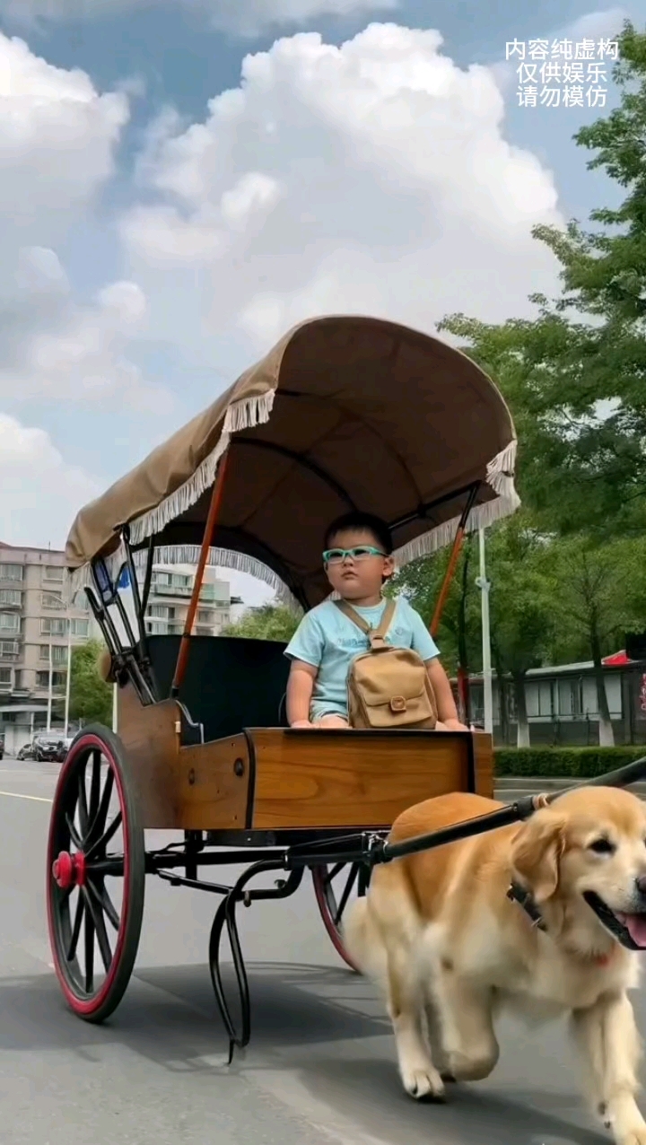 萌宝坐狗拉车