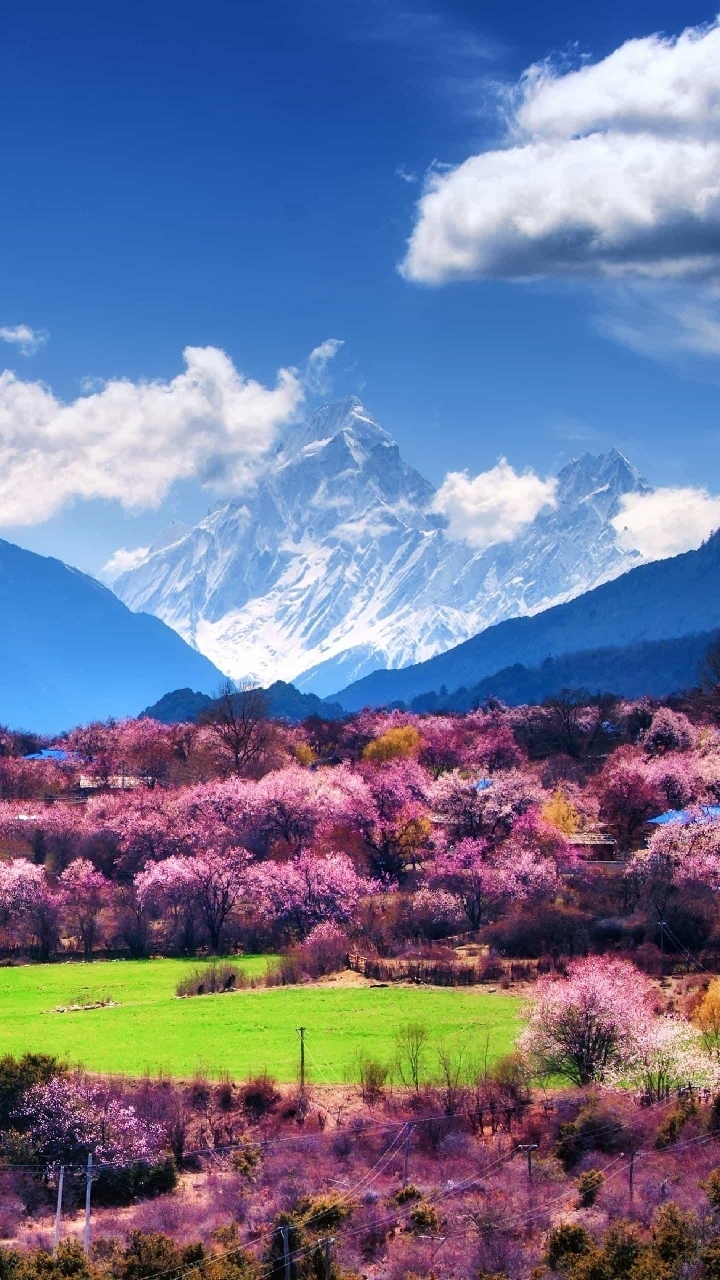 世界各地美丽的景色
