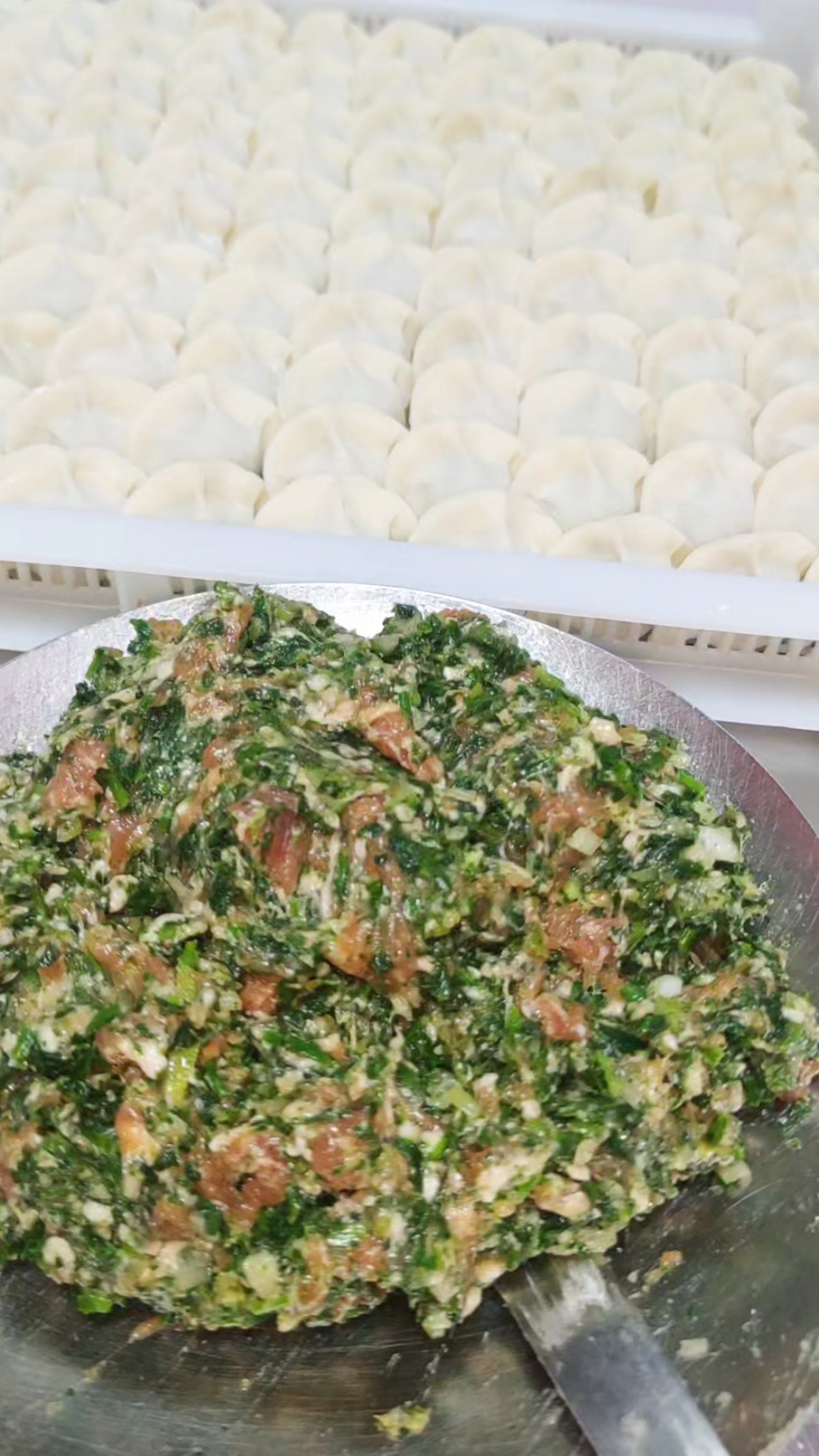 荠菜鲜肉粒馅水饺