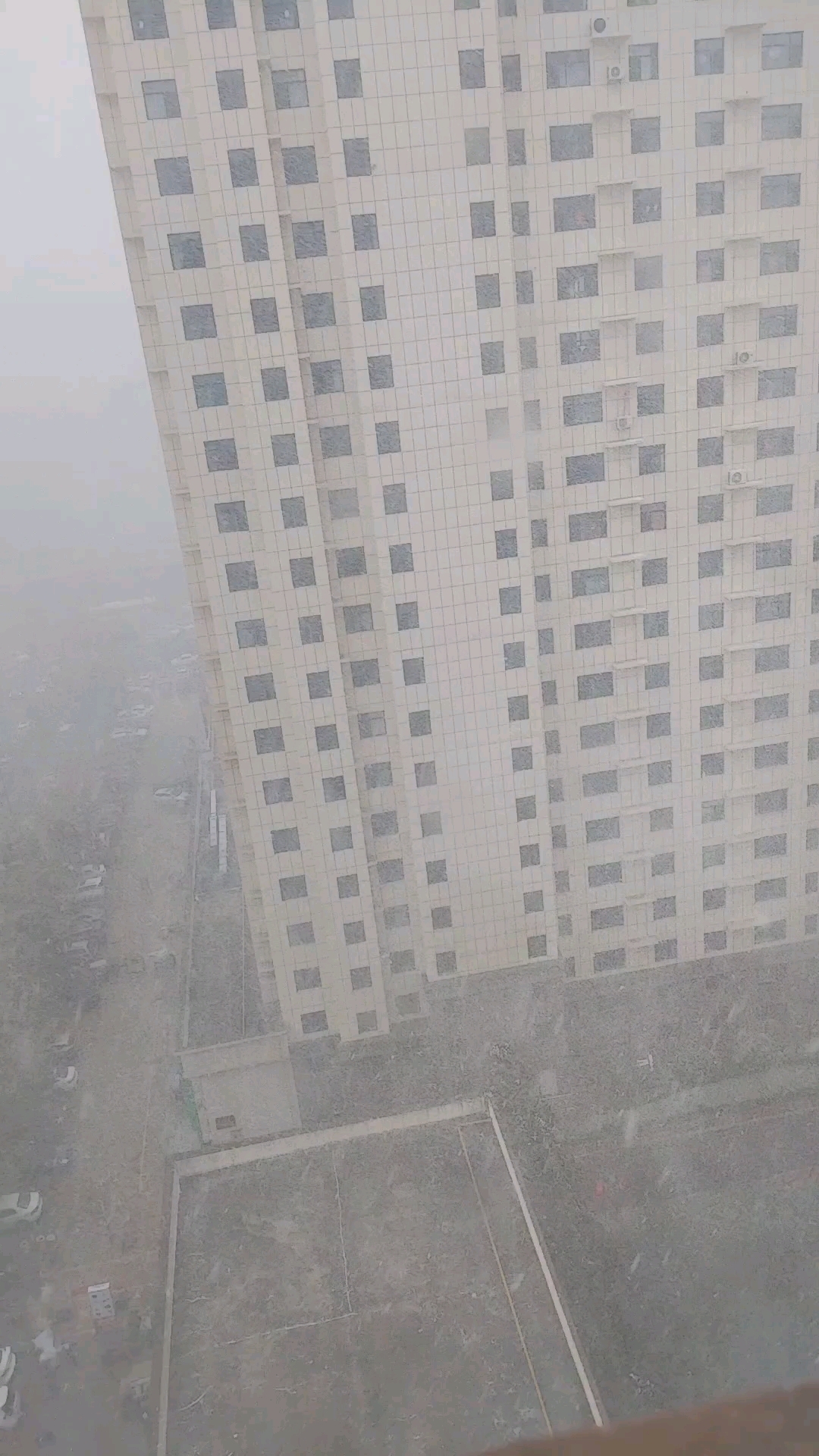 看看这突来的飞雪