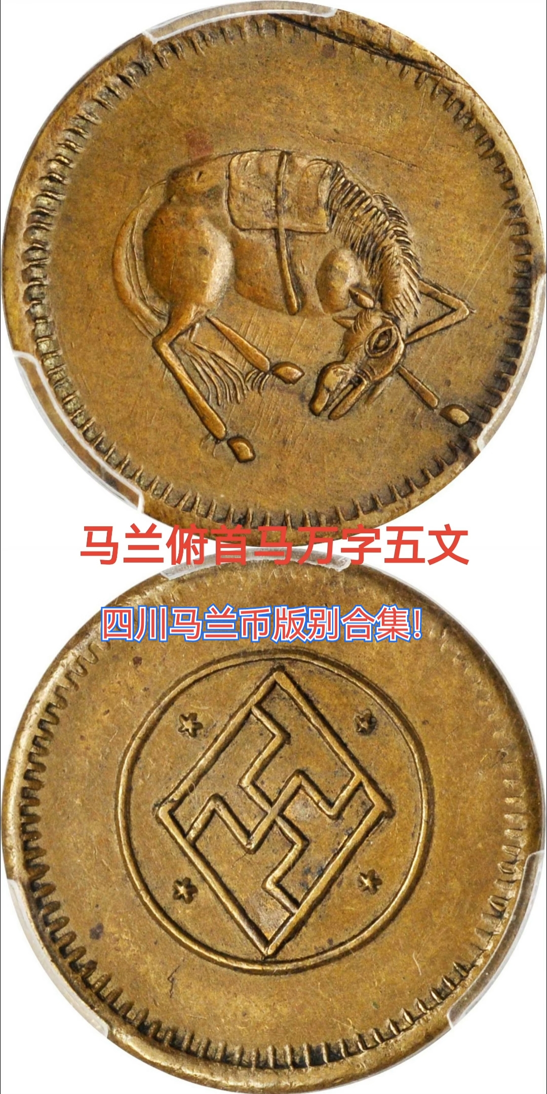 四川马兰币热门版别合集!