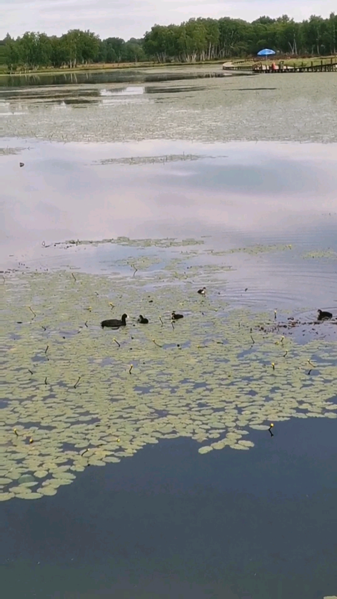 御道口草原森林风景区
