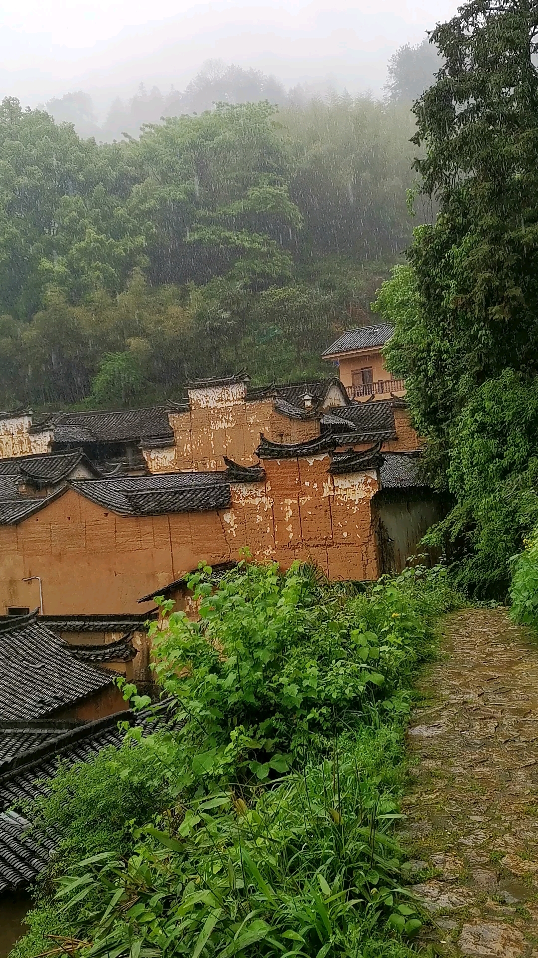 雨中的松阳县杨家堂村